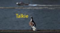 Talkie